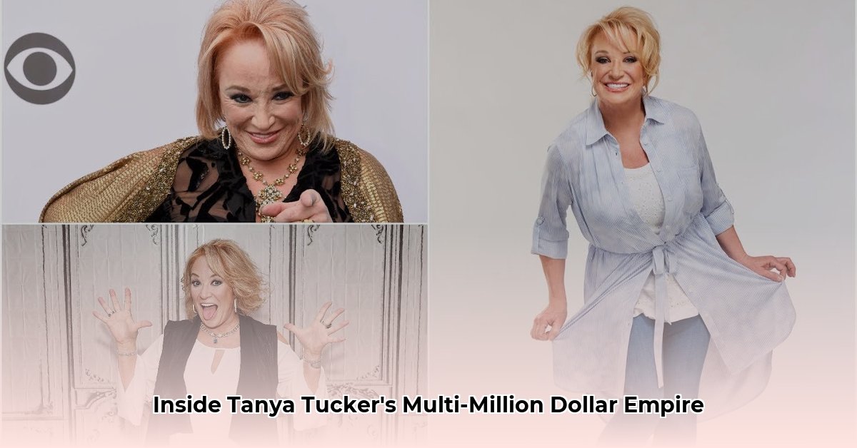 net worth of tanya tucker